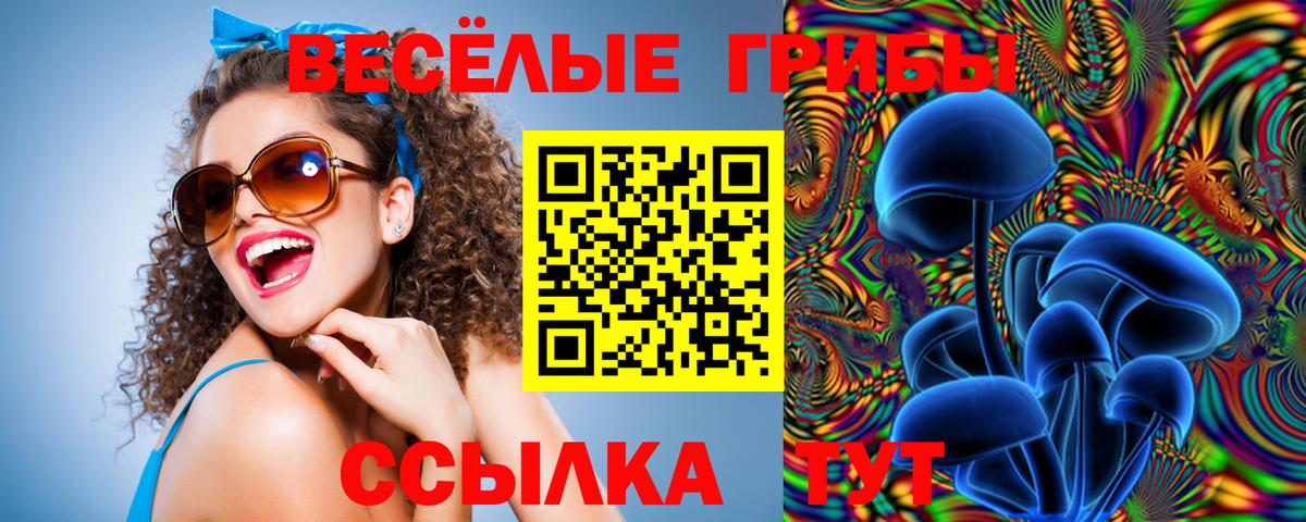 Псилоцибиновые грибы мицелий  Вход с VPN  Ефремов 