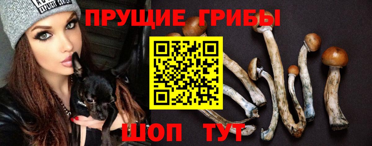 Галлюциногенные грибы Psilocybine cubensis Ефремов